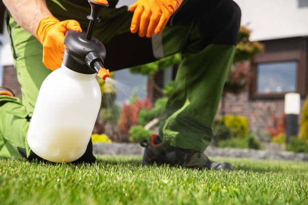 Best Ant Control Services  in Hendron, KY