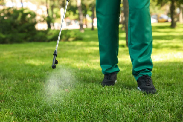 Best Termite Control Services  in Hendron, KY