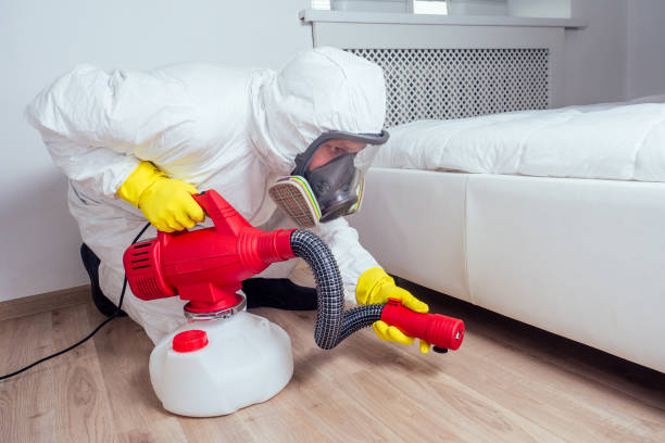 Best Mosquito Control Services  in Hendron, KY