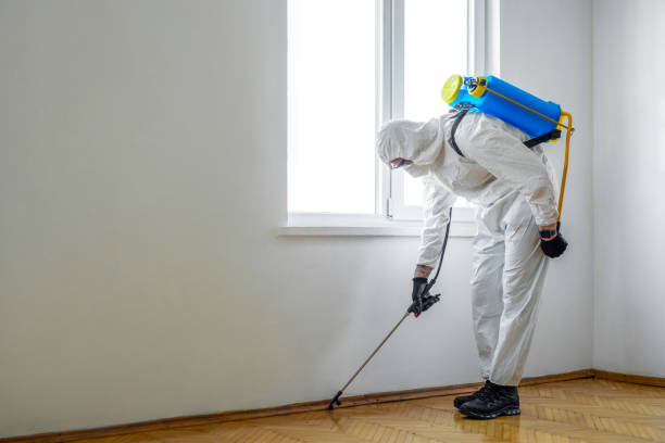 Best Affordable Pest Control Services  in Hendron, KY