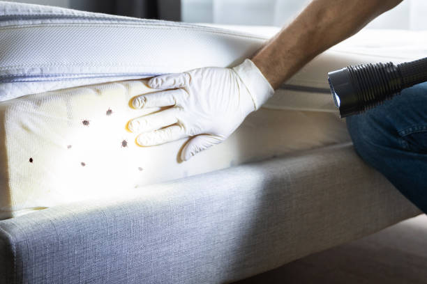 Best Cockroach Control Services  in Hendron, KY