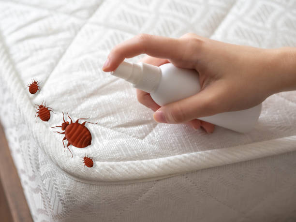 Best Best Pest Control Companies  in Hendron, KY